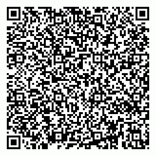 vCard 79295020303