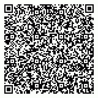 vCard 79295020331