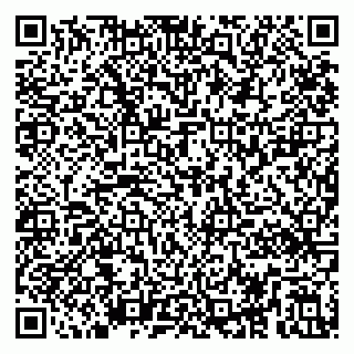 vCard 79295020545