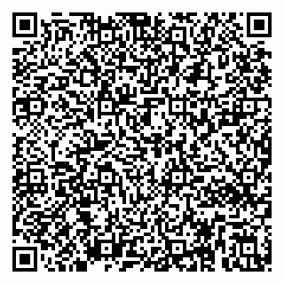 vCard 79295022210