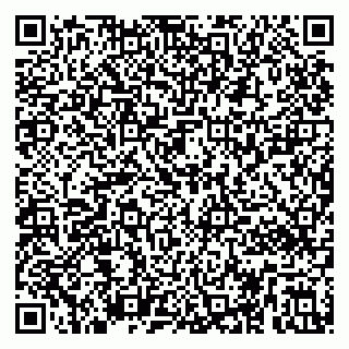 vCard 79295022331