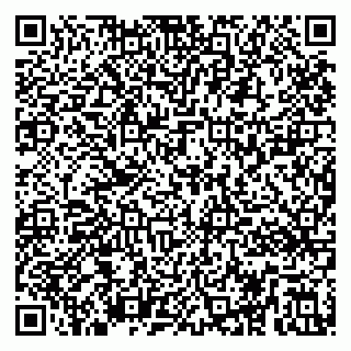 vCard 79295023720