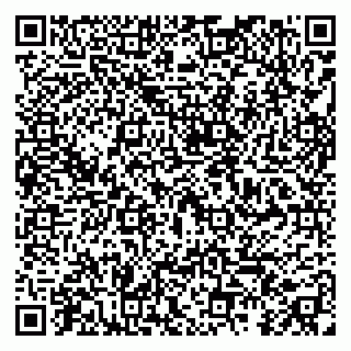 vCard 79295023909