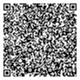 vCard 79295024328