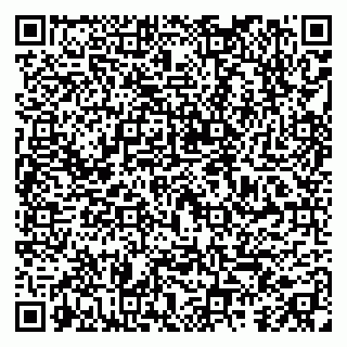 vCard 79295024399