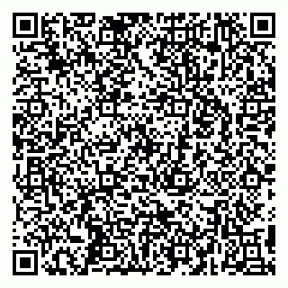 vCard 79295025317