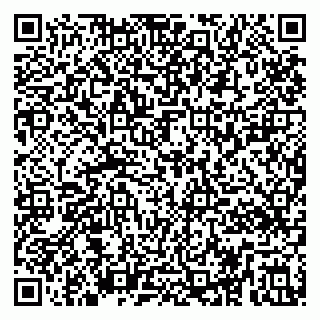vCard 79295026329