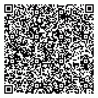 vCard 79295026331