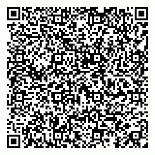 vCard 79295028005
