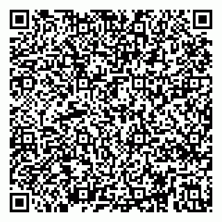 vCard 79295028201