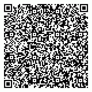 vCard 79295028313