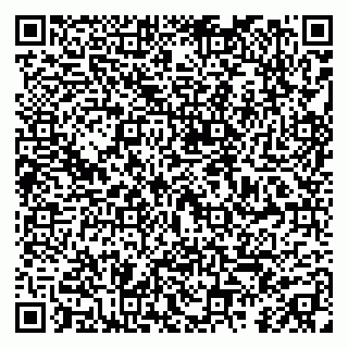 vCard 79295029210