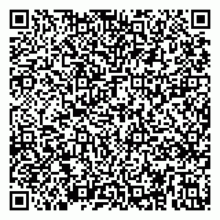 vCard 79295029293