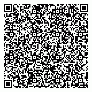 vCard 79295030004
