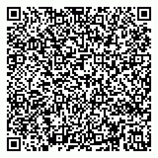 vCard 79295030201