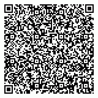 vCard 79295031303
