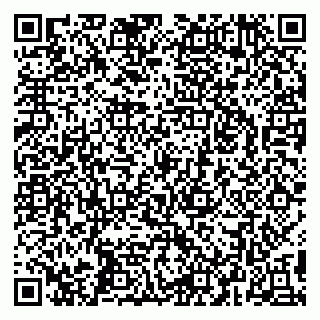 vCard 79295032001