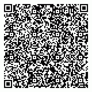 vCard 79295032010