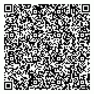 vCard 79295062203