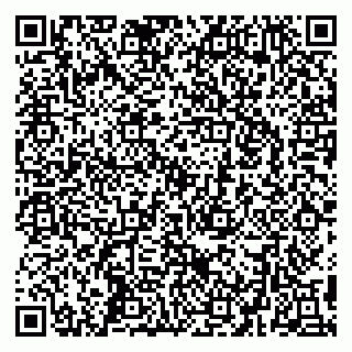 vCard 79295062204