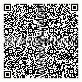 vCard 79295062208