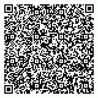 vCard 79295062210