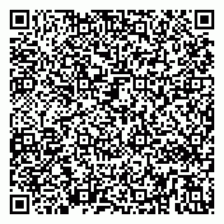 vCard 79295062386