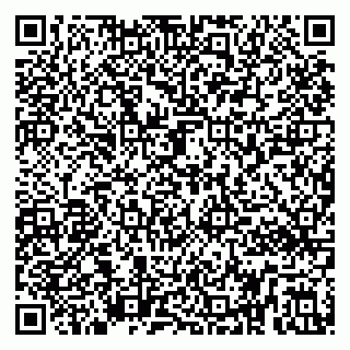 vCard 79295062401