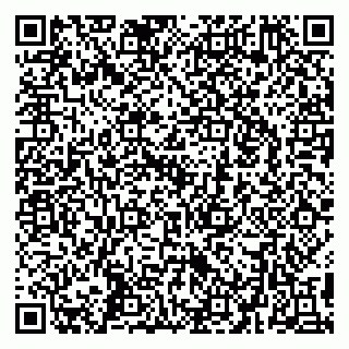 vCard 79295062402