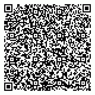 vCard 79295062403