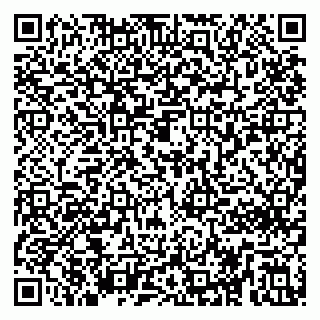 vCard 79295272200