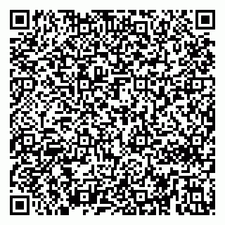 vCard 79295272303