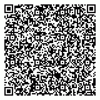 vCard 79295332100