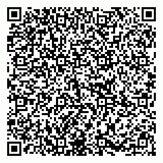 vCard 79295332239