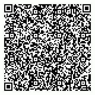 vCard 79295336029