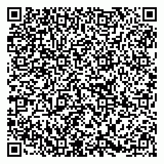 vCard 79295336069