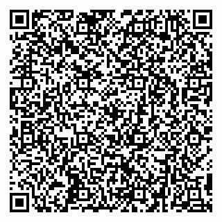 vCard 79295336074
