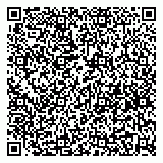 vCard 79295336111