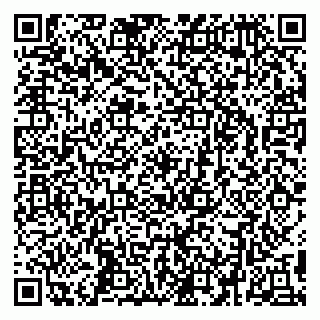 vCard 79295336128