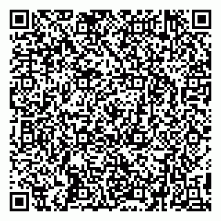 vCard 79295336163
