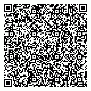 vCard 79295336173