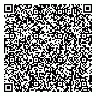 vCard 79295336176