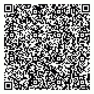 vCard 79295336177