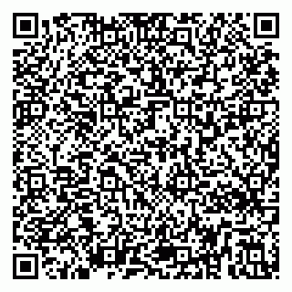 vCard 79295336180
