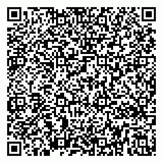 vCard 79295336185