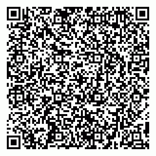 vCard 79295336198