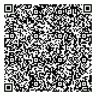vCard 79295336199