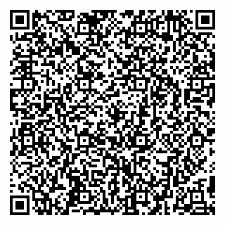 vCard 79295336209