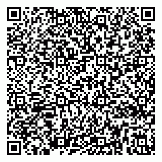 vCard 79295336211