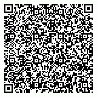 vCard 79295336217